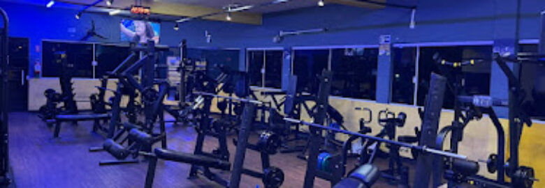 Body Fitness academia