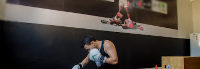 Studio Fight Fitness