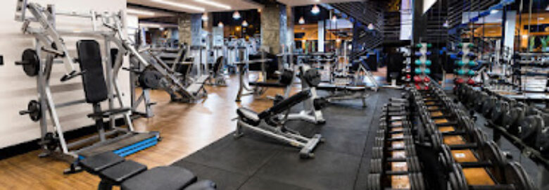 Academia Wave Centro