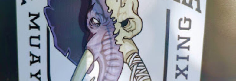 Centro de Treinamento Muay Thai Jiu-Jitsu