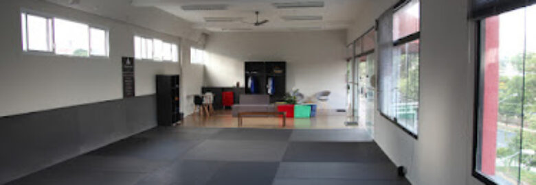 Alliance Jiu Jitsu Saúde SP