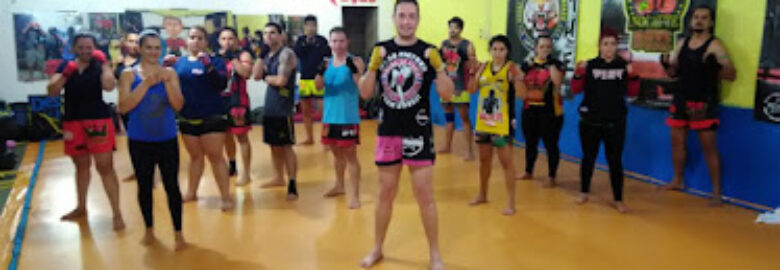 Nocaute Boxe