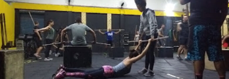 Box Performance