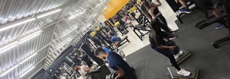 Academia Shape Em Dia