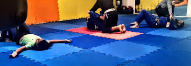 ESCOLA DE JIU JITSU ARBJJTEAM