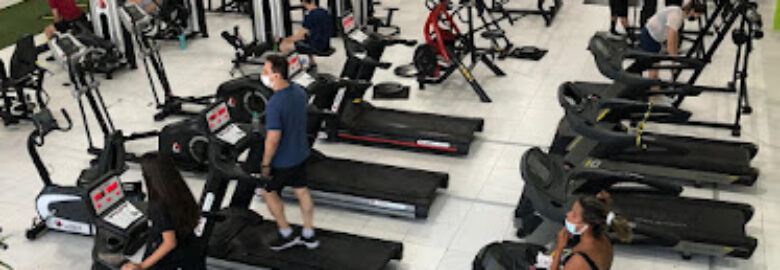 Stay Fit