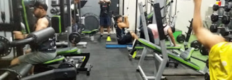 Studio Nequinha Funcional