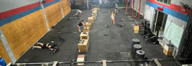 Tiger force – Vila Harmonia