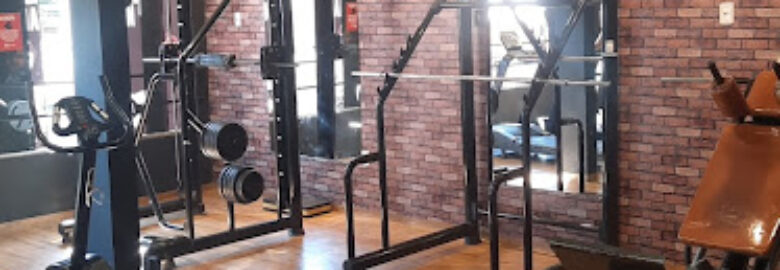 Fox Trainner Academia