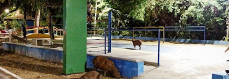 Polo Academia da Cidade – Beira Rio