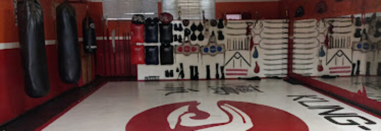 Kung fu e Boxe Chinês Garra de Águia Piracicaba II