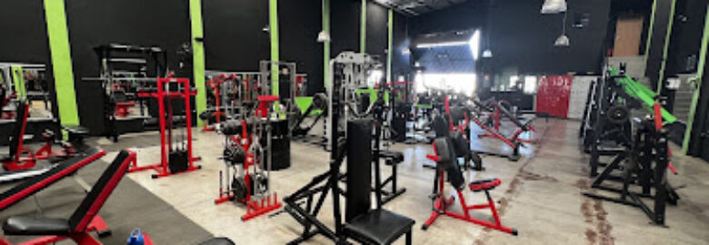 Action life gym