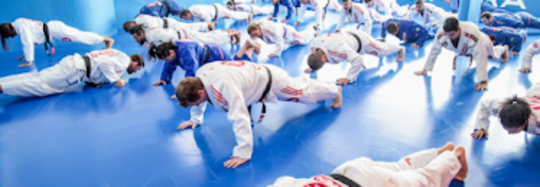 Gracie Barra Av. das Américas