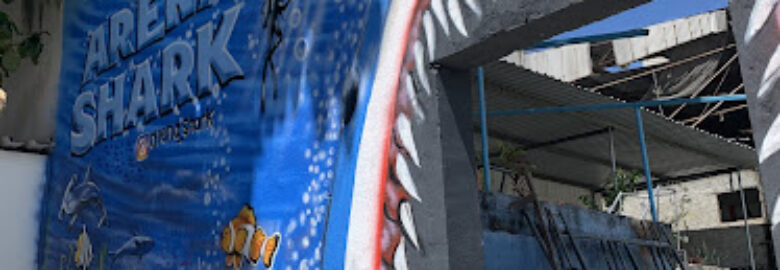 Arena Shark
