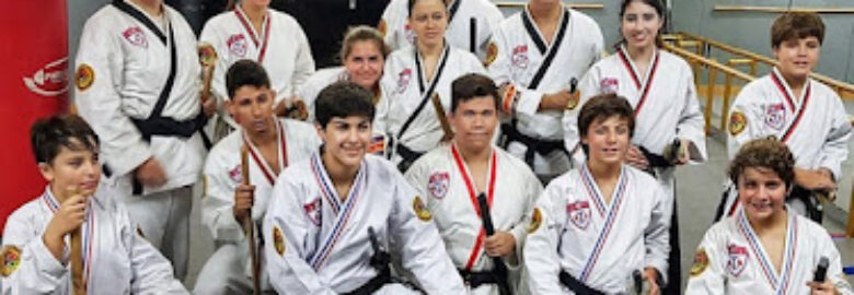 Martial Arts Moema Taekwondo