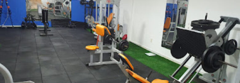 Studio Saú Souza