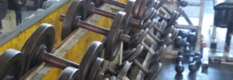 Academia Golds Viking