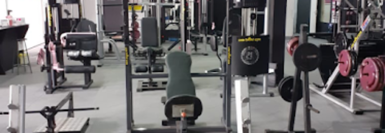 Lion Gym