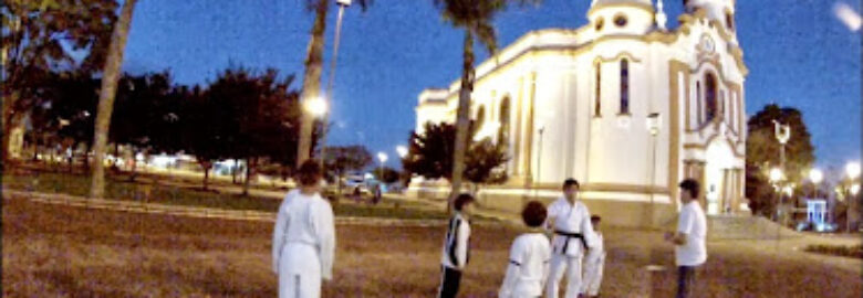 Projeto Karatê Arapongas Solitário Associação Araponguense de Karatê