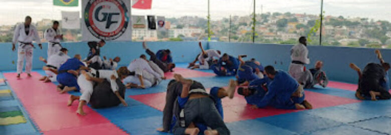 GAME FIGHT BRAVO 2 JIU-JITSU