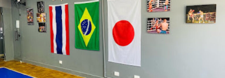 EVOLVE Muay Thai Gym e Artes Marciais – VILA MARIANA