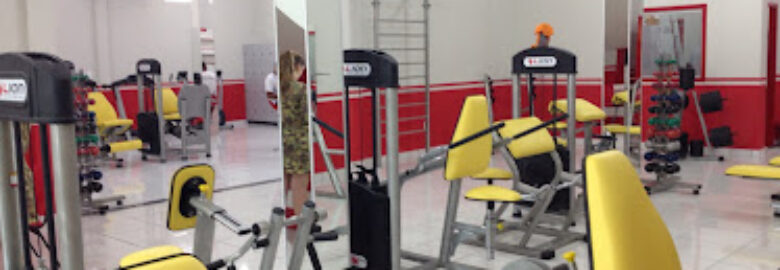 Lion Fitness Academia