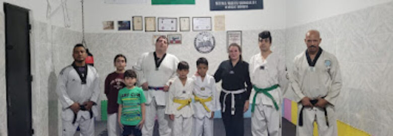 CT Equipe Hilton Santos de Lutas