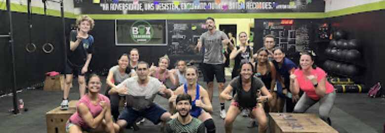 Box Training Amizade