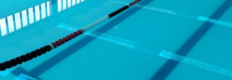 Blue Fish Swimming