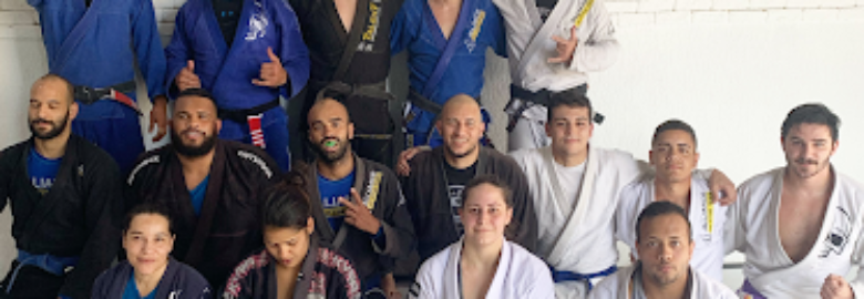 ACADEMIA ARAUJO BROTHER’S BJJ