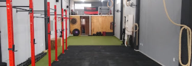 Academia Kratos Training