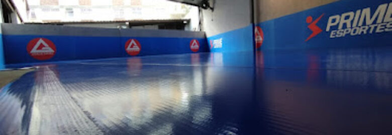 Jiu-jítsu Gracie Barra Coreu