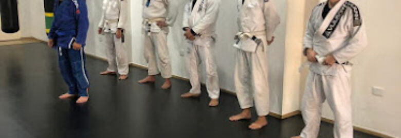 Academia Next Fight