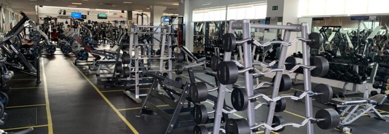 Flex Academia Alphaville